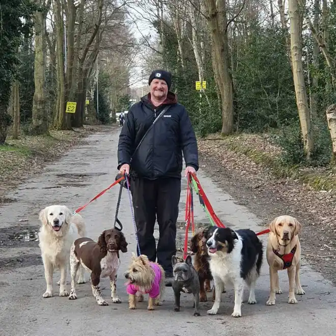 Ade Southgate walking a mixed breed group of seven dogs
